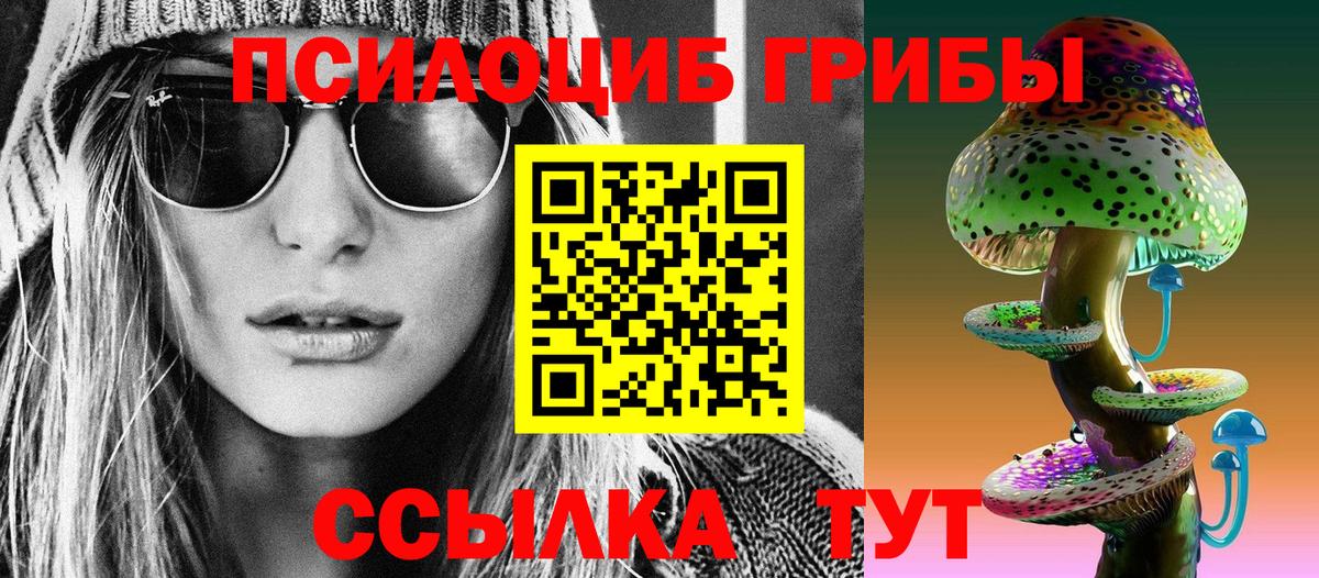 Ефремов  Галлюциногенные грибы GOLDEN TEACHER  Псилоцибиновые грибы Cubensis  Вход с VPN 