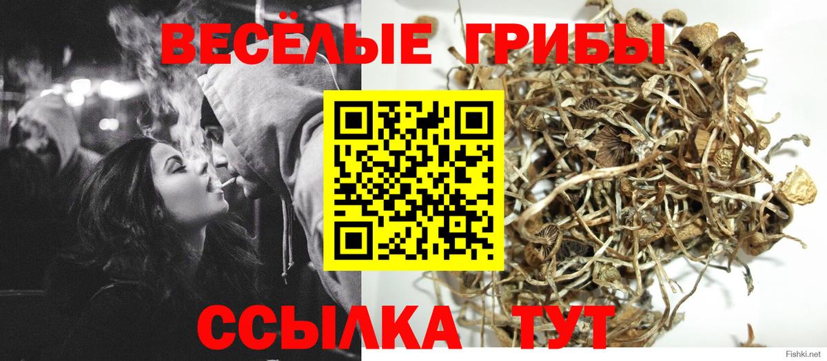 Галлюциногенные грибы мицелий Ефремов